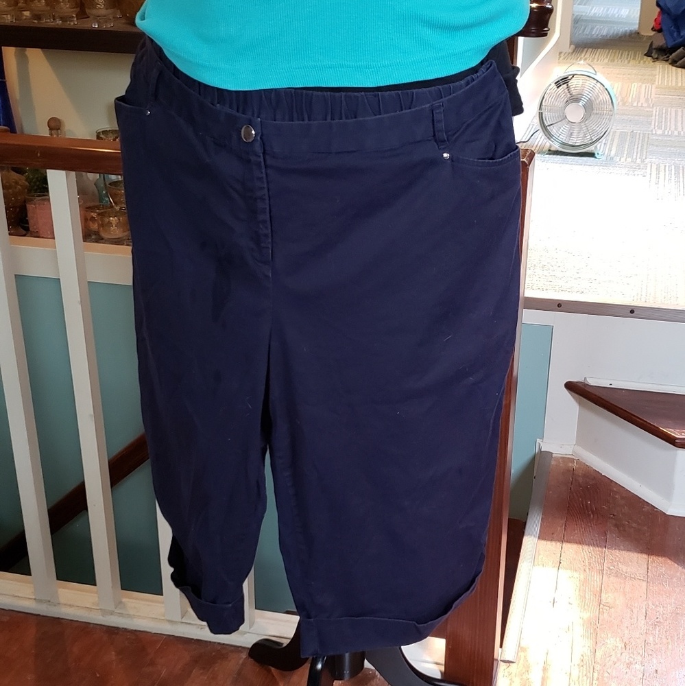 JM Collection Womens Navy Capris